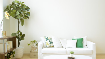 Complete Interior Design